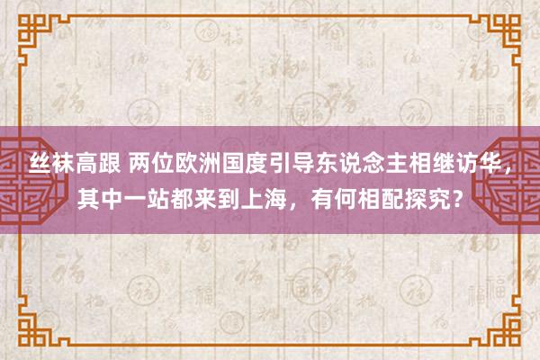 丝袜高跟 两位欧洲国度引导东说念主相继访华，其中一站都来到上海，有何相配探究？