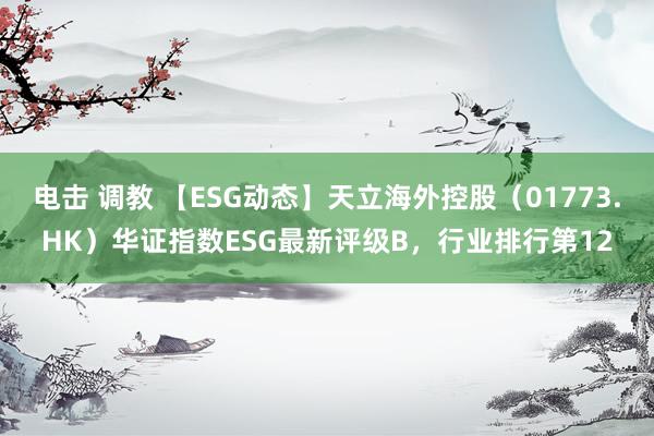 电击 调教 【ESG动态】天立海外控股（01773.HK）华证指数ESG最新评级B，行业排行第12