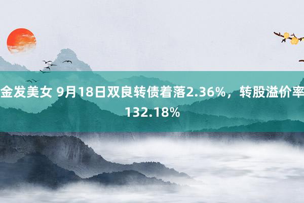 金发美女 9月18日双良转债着落2.36%，转股溢价率132.18%