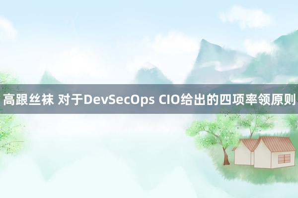 高跟丝袜 对于DevSecOps CIO给出的四项率领原则