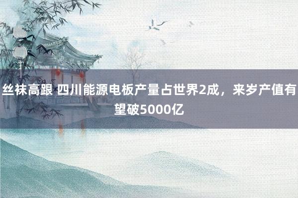 丝袜高跟 四川能源电板产量占世界2成，来岁产值有望破5000亿