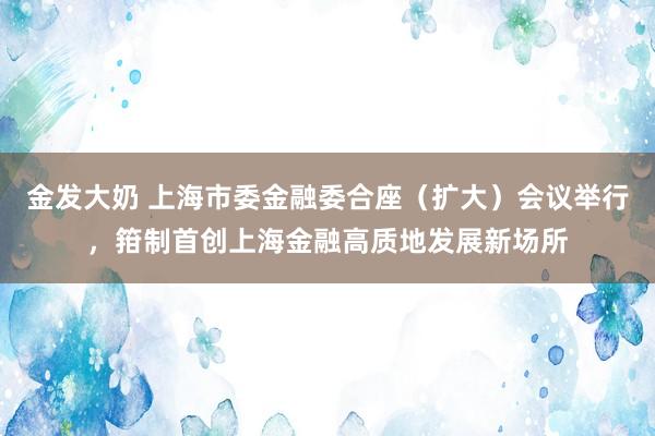 金发大奶 上海市委金融委合座（扩大）会议举行，箝制首创上海金融高质地发展新场所