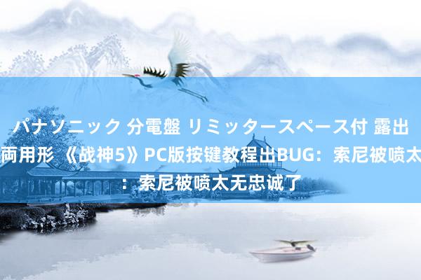 パナソニック 分電盤 リミッタースペース付 露出・半埋込両用形 《战神5》PC版按键教程出BUG：索尼被喷太无忠诚了