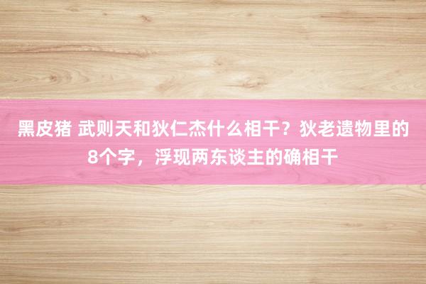 黑皮猪 武则天和狄仁杰什么相干？狄老遗物里的8个字，浮现两东谈主的确相干