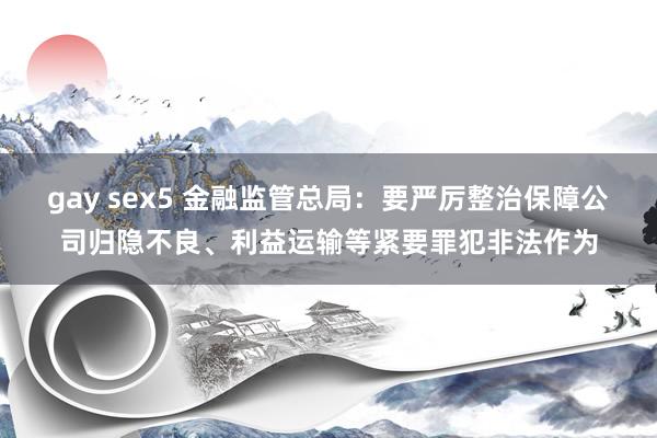 gay sex5 金融监管总局：要严厉整治保障公司归隐不良、利益运输等紧要罪犯非法作为