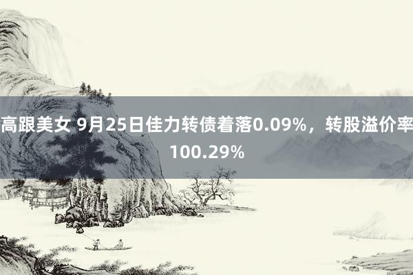 高跟美女 9月25日佳力转债着落0.09%，转股溢价率100.29%