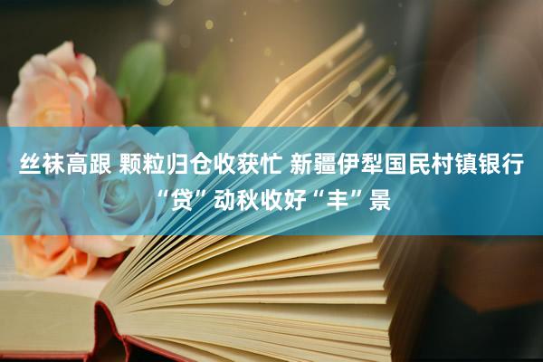 丝袜高跟 颗粒归仓收获忙 新疆伊犁国民村镇银行“贷”动秋收好“丰”景