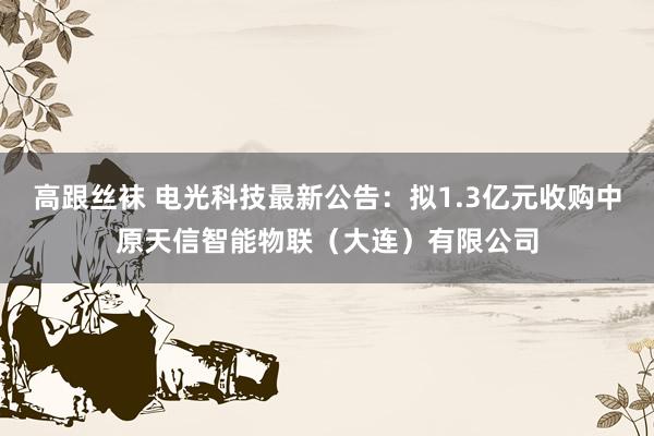 高跟丝袜 电光科技最新公告：拟1.3亿元收购中原天信智能物联（大连）有限公司