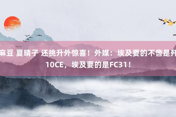 麻豆 夏晴子 还挑升外惊喜！外媒：埃及要的不啻是歼10CE，埃及要的是FC31！