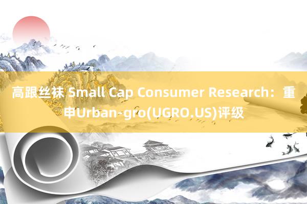 高跟丝袜 Small Cap Consumer Research：重申Urban-gro(UGRO.US)评级