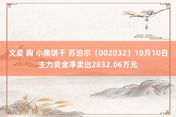 文爱 胸 小熊饼干 苏泊尔（002032）10月10日主力资金净卖出2832.06万元