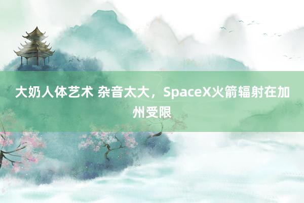 大奶人体艺术 杂音太大，SpaceX火箭辐射在加州受限