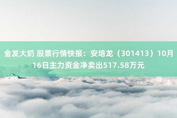 金发大奶 股票行情快报：安培龙（301413）10月16日主力资金净卖出517.58万元