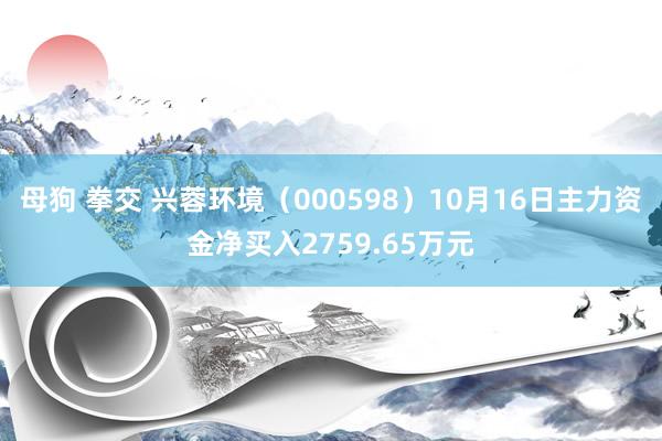 母狗 拳交 兴蓉环境（000598）10月16日主力资金净买入2759.65万元