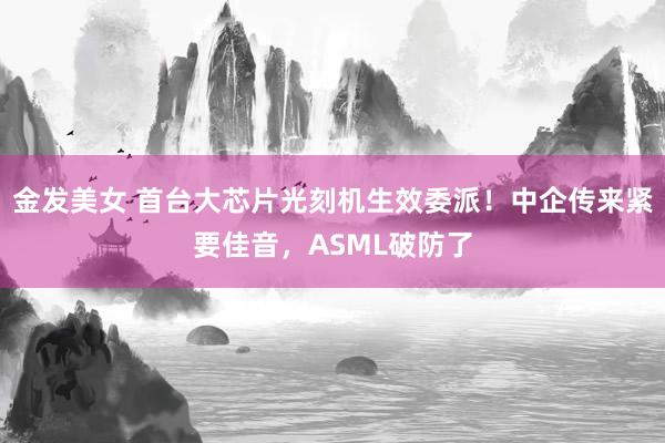 金发美女 首台大芯片光刻机生效委派！中企传来紧要佳音，ASML破防了