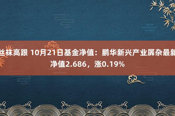 丝袜高跟 10月21日基金净值：鹏华新兴产业羼杂最新净值2.686，涨0.19%