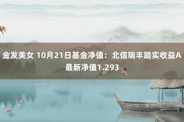 金发美女 10月21日基金净值：北信瑞丰踏实收益A最新净值1.293