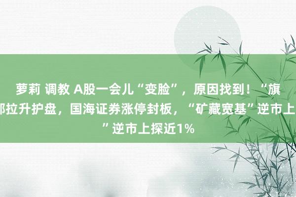 萝莉 调教 A股一会儿“变脸”，原因找到！“旗头”局部拉升护盘，国海证券涨停封板，“矿藏宽基”逆市上探近1%