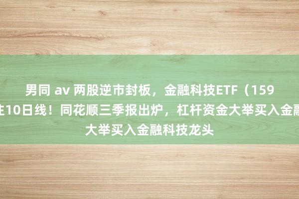 男同 av 两股逆市封板，金融科技ETF（159851）守住10日线！同花顺三季报出炉，杠杆资金大举买入金融科技龙头