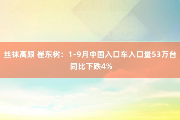 丝袜高跟 崔东树：1-9月中国入口车入口量53万台 同比下跌4%