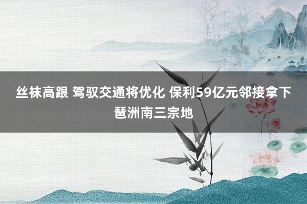 丝袜高跟 驾驭交通将优化 保利59亿元邻接拿下琶洲南三宗地