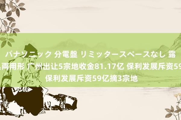 パナソニック 分電盤 リミッタースペースなし 露出・半埋込両用形 广州出让5宗地收金81.17亿 保利发展斥资59亿摘3宗地