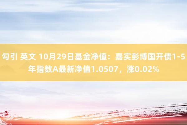 勾引 英文 10月29日基金净值：嘉实彭博国开债1-5年指数A最新净值1.0507，涨0.02%