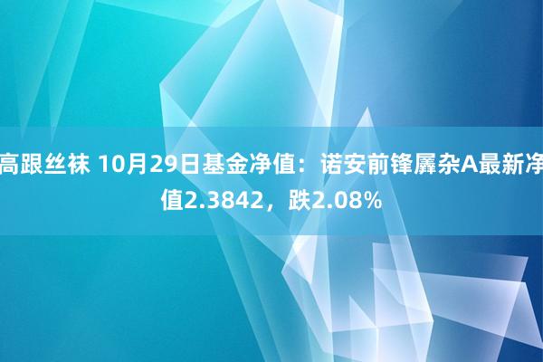 高跟丝袜 10月29日基金净值：诺安前锋羼杂A最新净值2.3842，跌2.08%