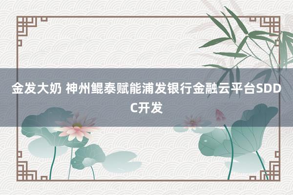 金发大奶 神州鲲泰赋能浦发银行金融云平台SDDC开发