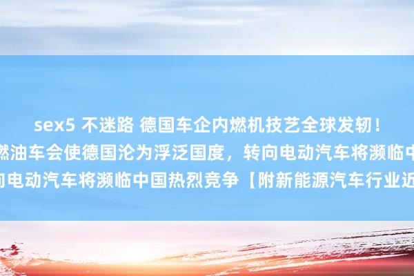 sex5 不迷路 德国车企内燃机技艺全球发轫！保时捷副总裁警告：禁售燃油车会使德国沦为浮泛国度，转向电动汽车将濒临中国热烈竞争【附新能源汽车行业近况分析】