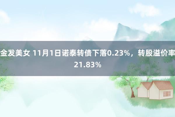 金发美女 11月1日诺泰转债下落0.23%，转股溢价率21.83%