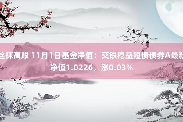 丝袜高跟 11月1日基金净值：交银稳益短债债券A最新净值1.0226，涨0.03%