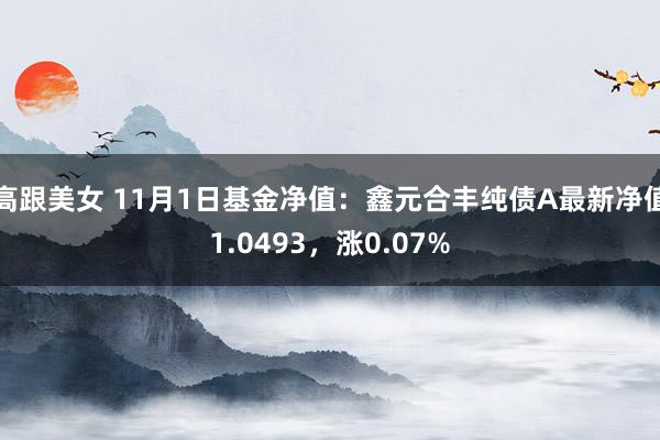 高跟美女 11月1日基金净值：鑫元合丰纯债A最新净值1.0493，涨0.07%