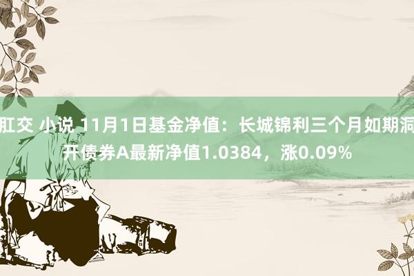 肛交 小说 11月1日基金净值：长城锦利三个月如期洞开债券A最新净值1.0384，涨0.09%