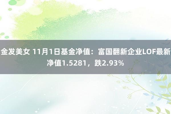 金发美女 11月1日基金净值：富国翻新企业LOF最新净值1.5281，跌2.93%