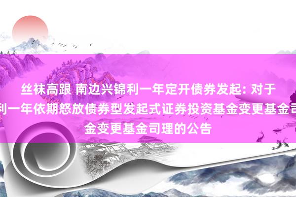 丝袜高跟 南边兴锦利一年定开债券发起: 对于南边兴锦利一年依期怒放债券型发起式证券投资基金变更基金司理的公告