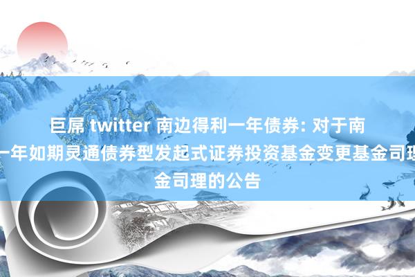 巨屌 twitter 南边得利一年债券: 对于南边得利一年如期灵通债券型发起式证券投资基金变更基金司理的公告