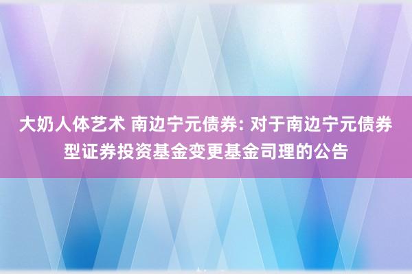 大奶人体艺术 南边宁元债券: 对于南边宁元债券型证券投资基金变更基金司理的公告