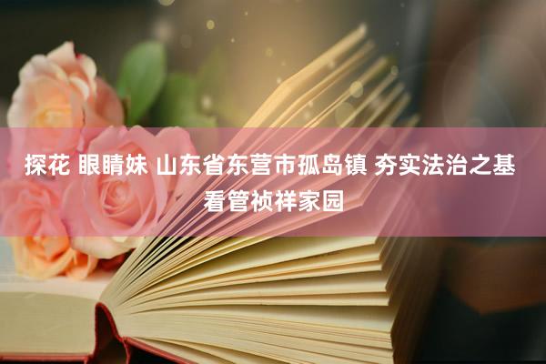 探花 眼睛妹 山东省东营市孤岛镇 夯实法治之基 看管祯祥家园