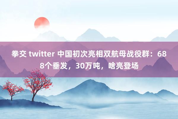 拳交 twitter 中国初次亮相双航母战役群：688个垂发，30万吨，啥亮登场