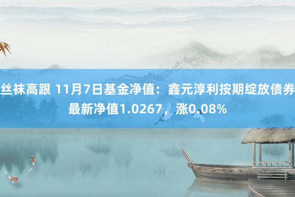 丝袜高跟 11月7日基金净值：鑫元淳利按期绽放债券最新净值1.0267，涨0.08%