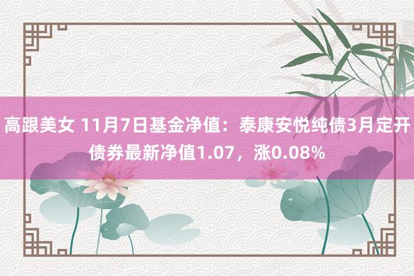 高跟美女 11月7日基金净值：泰康安悦纯债3月定开债券最新净值1.07，涨0.08%