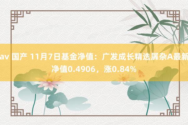 av 国产 11月7日基金净值：广发成长精选羼杂A最新净值0.4906，涨0.84%