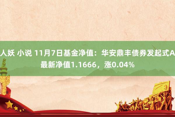 人妖 小说 11月7日基金净值：华安鼎丰债券发起式A最新净值1.1666，涨0.04%