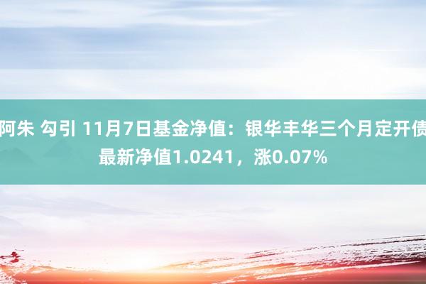 阿朱 勾引 11月7日基金净值：银华丰华三个月定开债最新净值1.0241，涨0.07%