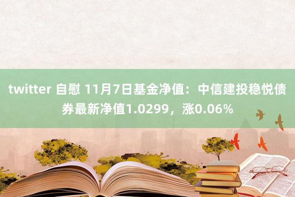 twitter 自慰 11月7日基金净值：中信建投稳悦债券最新净值1.0299，涨0.06%