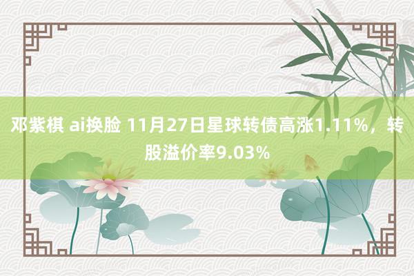 邓紫棋 ai换脸 11月27日星球转债高涨1.11%，转股溢价率9.03%