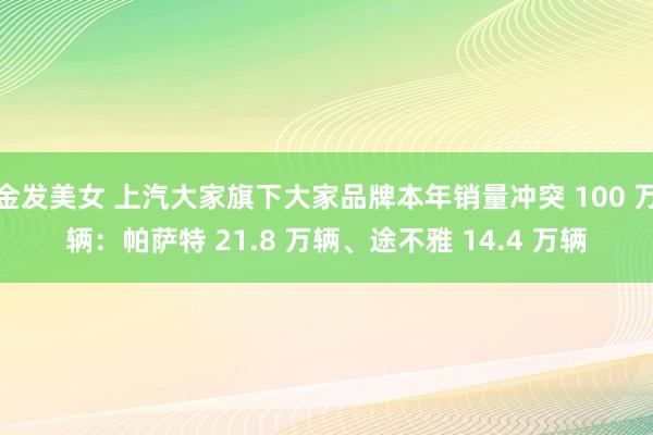 金发美女 上汽大家旗下大家品牌本年销量冲突 100 万辆：帕萨特 21.8 万辆、途不雅 14.4 万辆