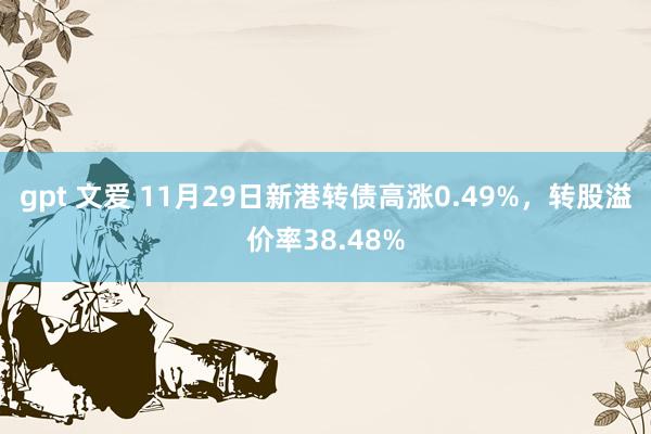 gpt 文爱 11月29日新港转债高涨0.49%，转股溢价率38.48%