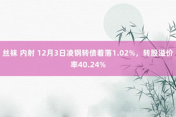 丝袜 内射 12月3日凌钢转债着落1.02%，转股溢价率40.24%